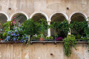 Fototapeta na wymiar Begrünte Balkone gegen die Hitze. Italien und mediterane Pflanzen am Balkon. Schöne Balkonpflanzen.