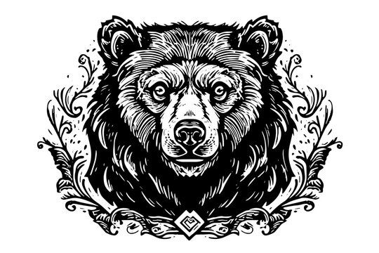 Ink hand drawing sketch bear mascot or logotype head. Vector Illustration in engraving style.