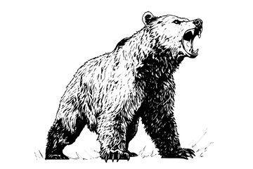 Ink hand drawing sketch bear mascot or logotype. Vector Illustration in engraving style.