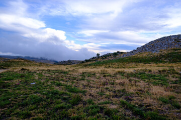 Fototapeta premium Serra da Freita, Portugal 2023.