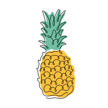 recommend clip art: Pineapple fruit continuous line colourful vector illustration