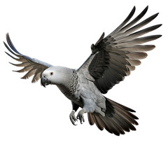 a grey parrot in-flight, 3/4  view as a transparent PNG Nature-themed, photorealistic illustration. Generative ai