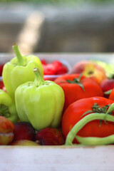 Wooden crate full of healthy seasonal fruit and vegetable, in the garden. Selective focus.