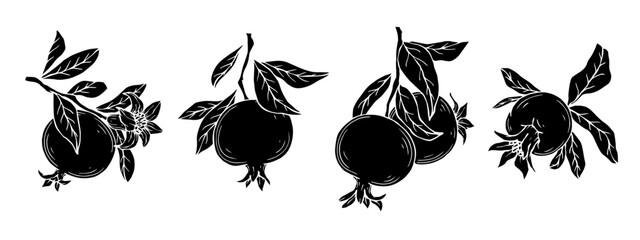 Set of silhouettes of blossoming pomegranate branches with fruits.Vector graphics. © Катерина Якубович