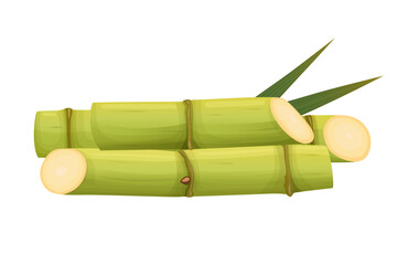 Sugar Cane isolated on white background. Vector eps 10. perfect for wallpaper or design elements