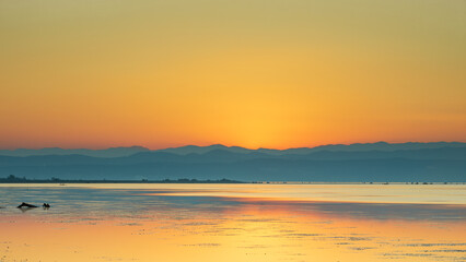 Alba sul mare alla laguna di Grado, dove sfocia il fiume Isonzo, visibili le montagne del Carso triestino.