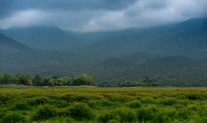 Fototapeta na wymiar landscape in the morning, Beautiful mountain scenery from Palakkad Kerala