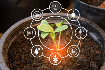 The concept of using AI and smart farming..