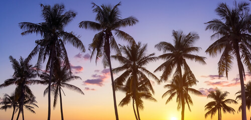 Fototapeta premium By the sea in the evening at sunset Beautiful romantic sunset through a palm leaf on paradise beach 3D illustration