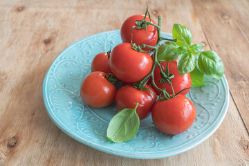 tomaten cocktailtomaten mit basilikum auf teller schön angerichtet