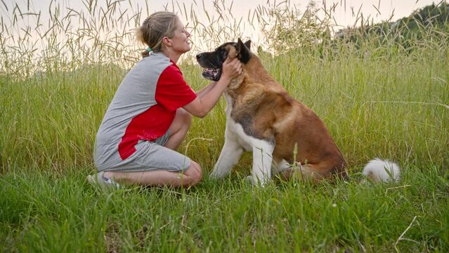 A woman strokes her big American Akita dog on the muzzle