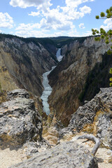 View over Grand Canyon of the Yellowstone to the Lower Yellowstone Falls