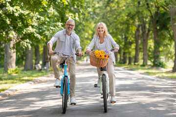 Retirement Lifestyle. Happy Senior Spouses Riding Bicycles Together In Park