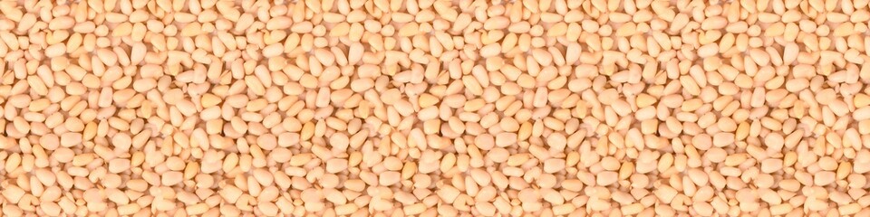 Seamless long banner, Pine nuts top view.