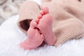 Foot of newborn baby. Close up of Hispanic newborn baby girl's feet
