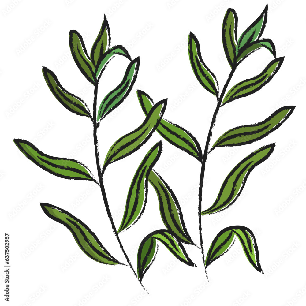 Sticker Hand drawn Tarragon icon