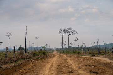 Amazon rainforest dirt road crosses deforested and degraded cattle pasture land at livestock farm. Amazonas, Brazil. Concept of environment, ecology, global warming, climate change, agriculture. - obrazy, fototapety, plakaty