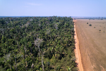 Aerial drone view of beautiful Amazon rainforest trees and deforestation to open land for cattle in...