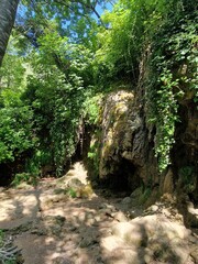 NP Krka, Croatia, nature, forest