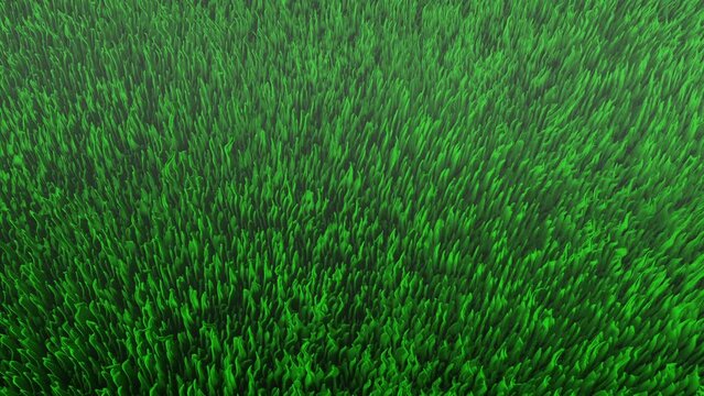 Green Seaweed Underwater Sea Grass Algae Ocean Plant Background