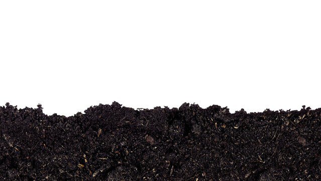 Potters stock image. Image of active, dirty, indoor, soil - 39415245