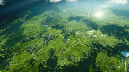 Fototapeta na wymiar Green rice field is shining in the sun, fisheye photography. From a bird's eye view. Generative AI