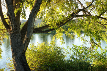Beautiful landscape with river and trees along shore