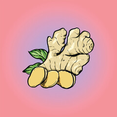 Illustration of Ginger