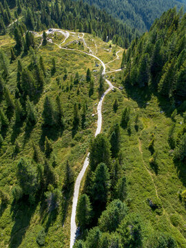 Scenic aerial view of hiking trail leading toward alpine mountains through green pine forest 