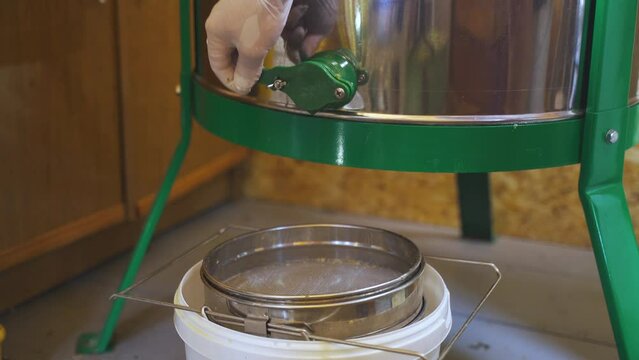 Honey production. The beekeeper opens the honey extractor valve and the honey flows out of the extractor onto the filter sieve.