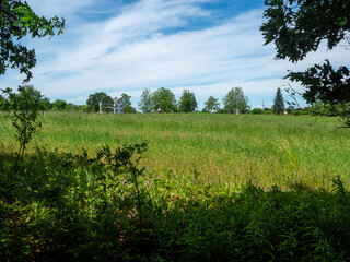 Fototapeta na wymiar white farm on a meadow on a sunny day 