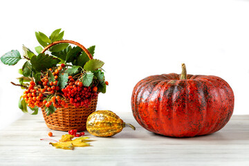 Autumn still life. Pumpkin and basket with rowan berries on the table