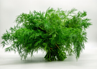 Fresh dill on a white background.