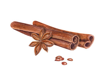 Watercolor cinnamon sticks, star anise on white. Cannella, badian. Aromatic brown spices. Christmas and New Year hand drawn illustration. For greetings, cards, package
