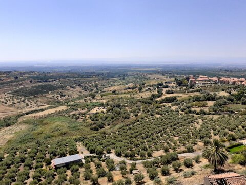 Panorama con coltivazioni