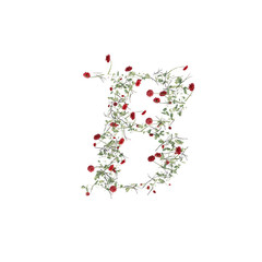 Font made from leaves, twigs, and flowers, alphabet, font art 3d rendering with transparent background