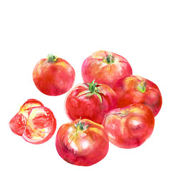 Watercolor drawing of red, ripe tomatoes. Fresh tomato vegetables. Round nightshade fruits. Naturalistic drawing. Delicious tomatoes. Tomatoes cooked for salad.