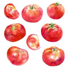 Watercolor drawing of red, ripe tomatoes. Fresh tomato vegetables. Round nightshade fruits. Naturalistic drawing. Delicious tomatoes. Tomatoes cooked for salad.