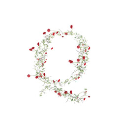 Font made from leaves, twigs, and flowers, alphabet, font art 3d rendering with transparent background