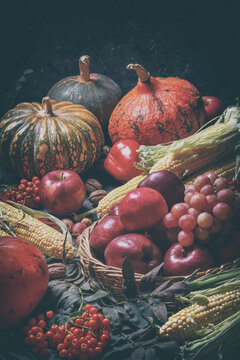 Autumn agricultural still life with fruits and vegetables. Harvest festival holiday concept with copy space for text