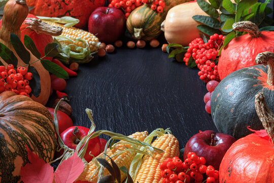 Autumn agricultural frame made of fruits and vegetables with copy space for text on slate background. Harvest holiday concept