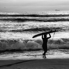 surfer on the beach sea sunset silhouette sport look