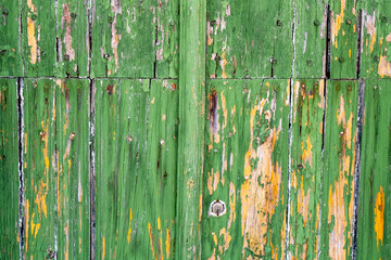 Cracked green paint on aged wooden surface. Cool grunge crackle texture. Fractured pattern. 