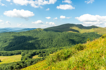 Fototapeta na wymiar Wilderness and scenic nature and alpine landscape at summer in Bieszczady Mountains, Carpathians, Poland.