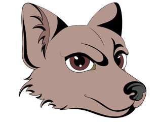 Open dog mouth showing teeth