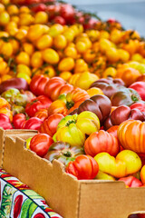 Close up of table with variety of colorful tomatoes