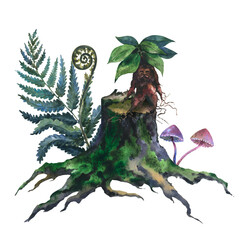 Watercolor picture of an old stump, tree cut trunk with green moss, fern and mandragora plan, hand painted in watercolor on a white background