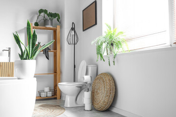 Interior of modern restroom with ceramic toilet bowl and houseplants