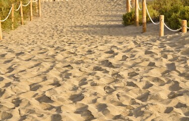 a photo of sand dunes on the beach of Maspalomas