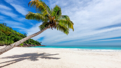 Palm trees in white sand on tropical Anse Georgette Beach, Praslin island, Seychelles.